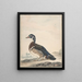 Ein Ente - Aert Schouman — gerahmtes Bild an der Wand