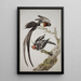 Ein Paradiesvogel mit langem Schwanz Vidua paradisaea und ein Kardinal mit roter Haube - Aert Schouman — gerahmtes Bild an der Wand