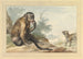 Ein Affe sitzt auf einem Felsen und schaut eine Wiesel an - Aert Schouman — Ansicht des Kunstwerks