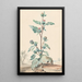 Karde - Aert Schouman — gerahmtes Bild an der Wand