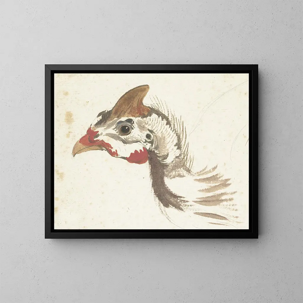 Kopf der Helmtäubchen - Aert Schouman — gerahmtes Bild an der Wand