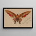 Schmetterling - Albert Bierstadt — gerahmtes Bild an der Wand