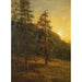Californische Sequoia-Gemälde - Albert Bierstadt — Ansicht des Kunstwerks