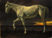 Weißes Pferd und Sonnenuntergang - Albert Bierstadt — Ansicht des Kunstwerks