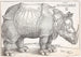 Der Rhinocéros - Albrecht Dürer — Ansicht des Kunstwerks