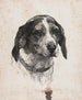 Eine Hundekopf - Alexander Blom — Ansicht des Kunstwerks
