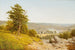 Landschaft - Alexander Helwig Wyant — Ansicht des Kunstwerks