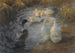 Enten unter den Schilfrohren in einem Teich - Alexander Koester — Ansicht des Kunstwerks