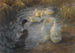 Enten unter den Schilfrohren in einem Teich - Alexander Koester — Ansicht des Kunstwerks