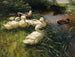 Enten am Seeufer mit einem Boot - Alexander Koester — Ansicht des Kunstwerks