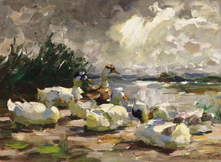 Alexander Koester - Enten am Ufer schne Wolkenstimmung.webp