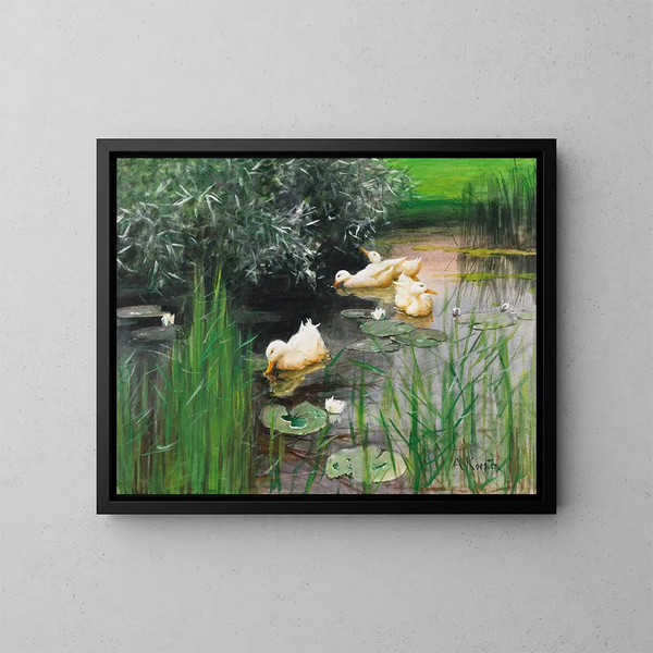 Enten im Seerosenteich - Alexander Koester — gerahmtes Bild an der Wand