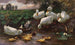 Ente mit Enten und Entenküken am Seeufer - Alexander Koester — Ansicht des Kunstwerks
