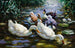 Fünf Enten - Alexander Koester — Ansicht des Kunstwerks