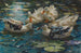 Fünf bunte Enten im blauen Wasser der Seerosen - Alexander Koester — Ansicht des Kunstwerks
