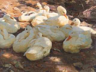 Alexander Koester - Liegende Enten  Licht und Schatten.webp
