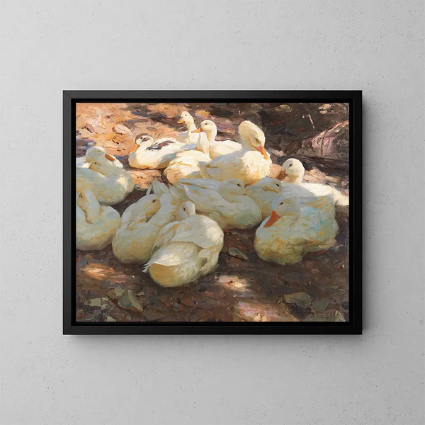 Enten liegend, Licht und Schatten - Alexander Koester — gerahmtes Bild an der Wand