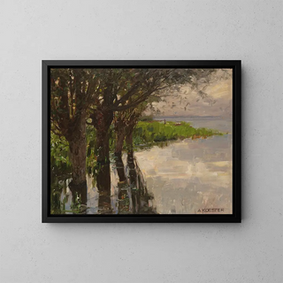Alexander Koester - Reichenau Weiden am See Sonne.webp