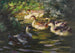 Sechs Enten auf dem Wasser unter Uferbüschen - Alexander Koester — Ansicht des Kunstwerks