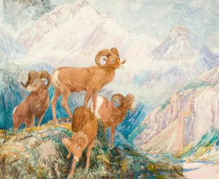 Alexander Phimister Proctor - Big Horn Mountain Sheep.webp