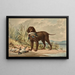 Retriever mit lockigem Fell stehend, Stockente im Schnabel, drei weitere Enten am Boden - Alexander Pope Jr — gerahmtes Bild an der Wand