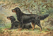 Zwei Setter Gordon nach links blickend, einer stehend, einer liegend - Alexander Pope Jr — Ansicht des Kunstwerks