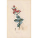 Reproduktion des Gemäldes Botanisches Gemälde Pl11 - Alexander von Humboldt