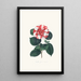 Illustrationen und Beschreibungen der Pflanzen, die die natürliche Ordnung der Camellieae bilden Pl06 - Alfred Chandler — gerahmtes Bild an der Wand