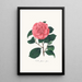 Illustrationen und Beschreibungen der Pflanzen, die die natürliche Ordnung der Camellieae bilden Pl26 - Alfred Chandler — gerahmtes Bild an der Wand