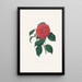 Illustrationen und Beschreibungen der Pflanzen, die die natürliche Ordnung der Camellieae bilden Pl34 - Alfred Chandler