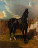 Ritter Schwarz - Alfred de Dreux — Ansicht des Kunstwerks