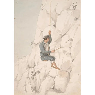 Alfred Diston - Gomero Orchilla Gatherer.webp