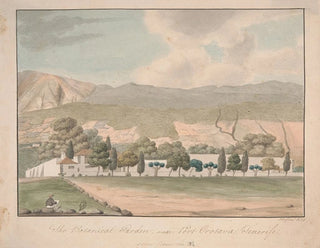 Alfred Diston - The Botanical Garden near Port Orotava Tenerife.webp