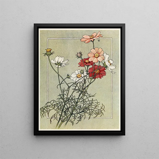 Alice W Donaldson - Cosmos.webp