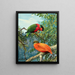 Lori der Fidji und orange Taube - Allan Brooks — gerahmtes Bild an der Wand