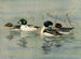 GoldenEye Barrows - Allan Brooks — Ansicht des Kunstwerks