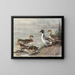 Entenpilet chilenisch - Allan Brooks — gerahmtes Bild an der Wand