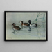 Enten mit Hals - Allan Brooks — gerahmtes Bild an der Wand