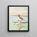 Phalarope de Wilson - Allan Brooks — gerahmtes Bild an der Wand