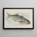 Fisch Blau - Allen Ginter — gerahmtes Bild an der Wand