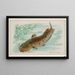 Fischkatze - Allen Ginter — gerahmtes Bild an der Wand