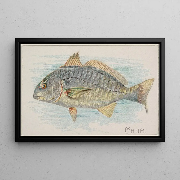 Chevesne - Allen Ginter — gerahmtes Bild an der Wand