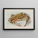 Krabbe - Allen Ginter — gerahmtes Bild an der Wand
