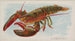Hummer - Allen Ginter — Ansicht des Kunstwerks