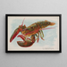 Hummer - Allen Ginter — gerahmtes Bild an der Wand