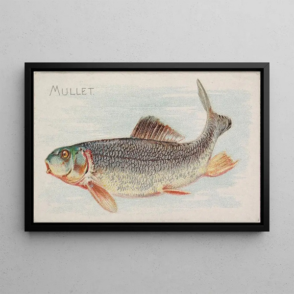 Mulet - Allen Ginter — gerahmtes Bild an der Wand