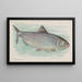 Alose - Allen Ginter — gerahmtes Bild an der Wand
