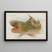Hai - Allen Ginter — gerahmtes Bild an der Wand