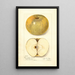Reproduktion des Gemäldes Malus domestica Pumpkin Sweet - Amanda Almira Newton