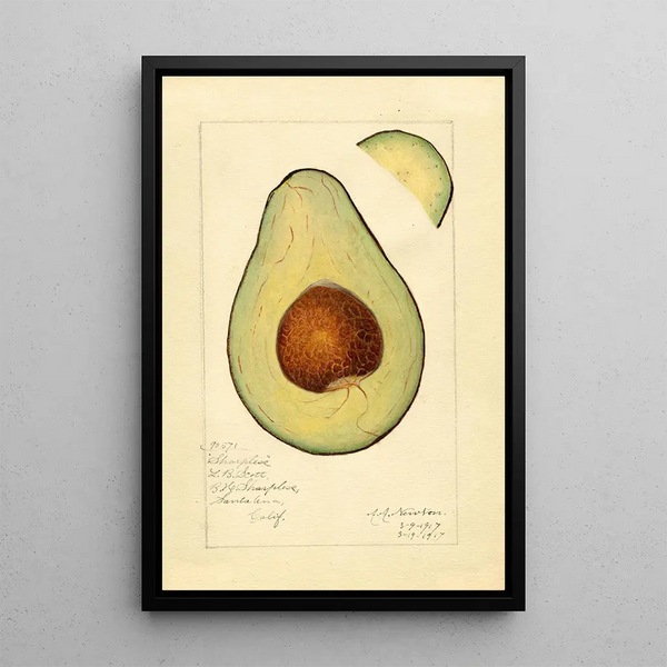 Reproduktion des Gemäldes Persea Sharpless - Amanda Almira Newton